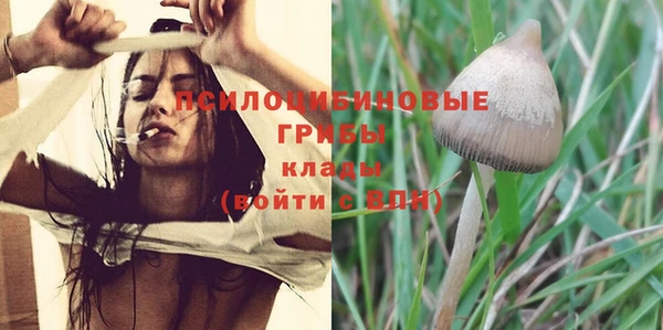 круглые Алексин