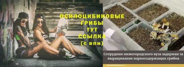 хмурый Алексеевка